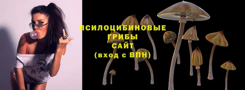 Псилоцибиновые грибы GOLDEN TEACHER  Миньяр 